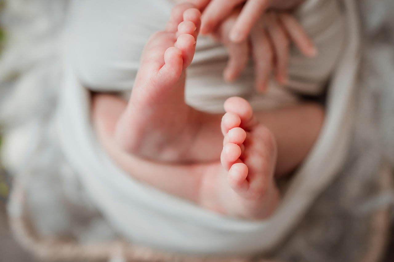 newborn-6399136_1280